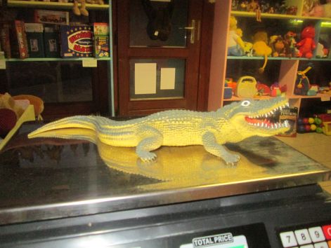 dino_12.jpg